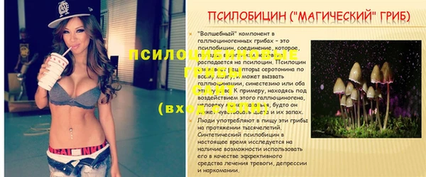 марки lsd Абинск