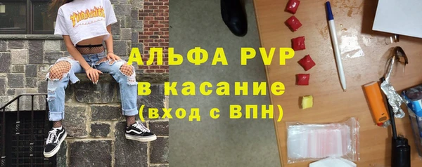 гашик Абаза